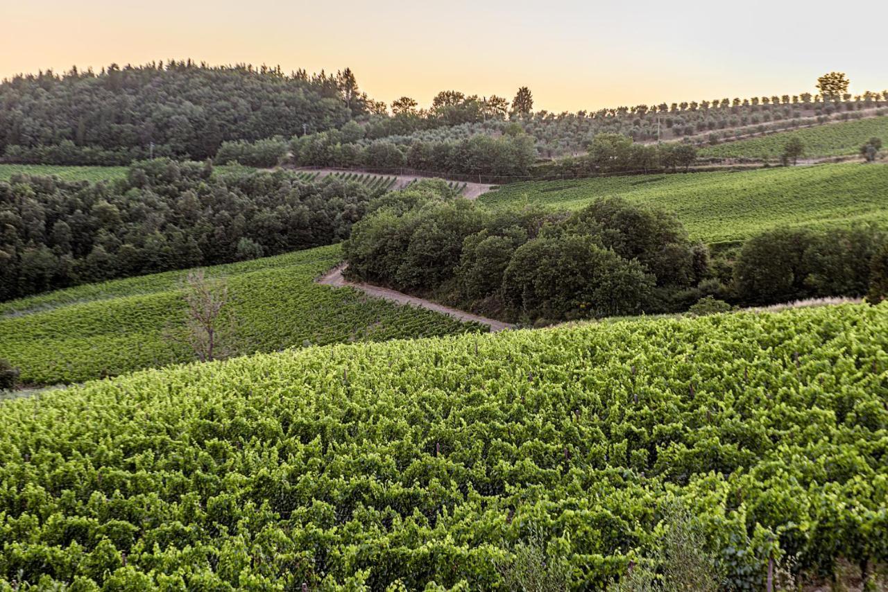 Agriturismo Concadoro Villa Castellina in Chianti Dış mekan fotoğraf