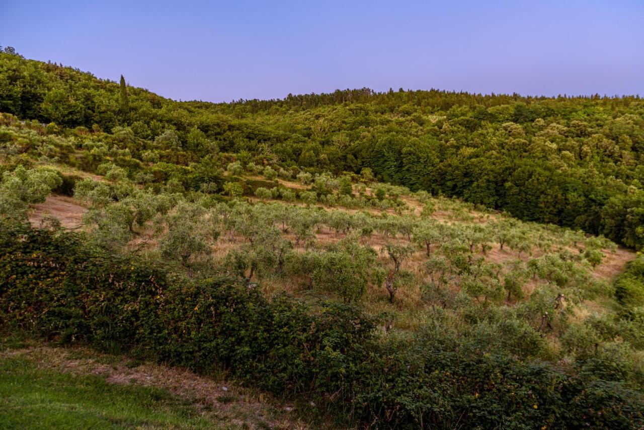 Agriturismo Concadoro Villa Castellina in Chianti Dış mekan fotoğraf