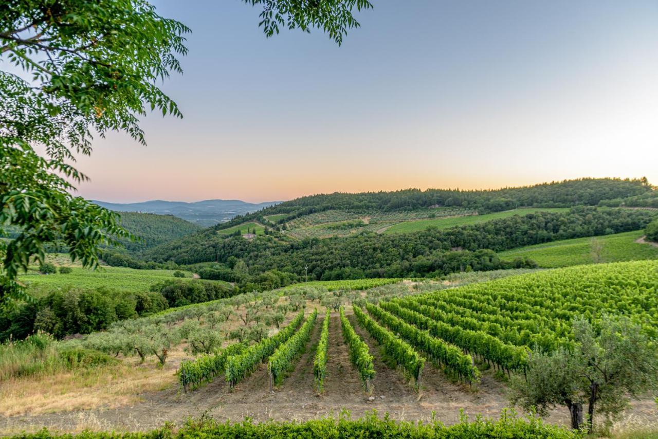 Agriturismo Concadoro Villa Castellina in Chianti Dış mekan fotoğraf